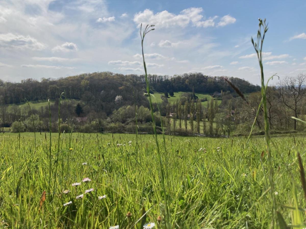 Domaine Labouroume Hotel Salies-de-Béarn Kültér fotó