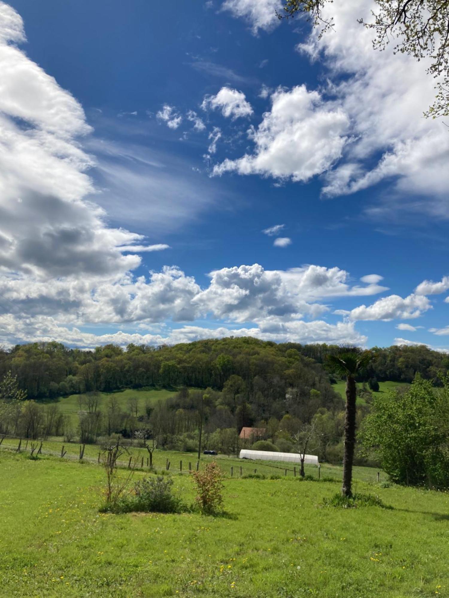 Domaine Labouroume Hotel Salies-de-Béarn Kültér fotó