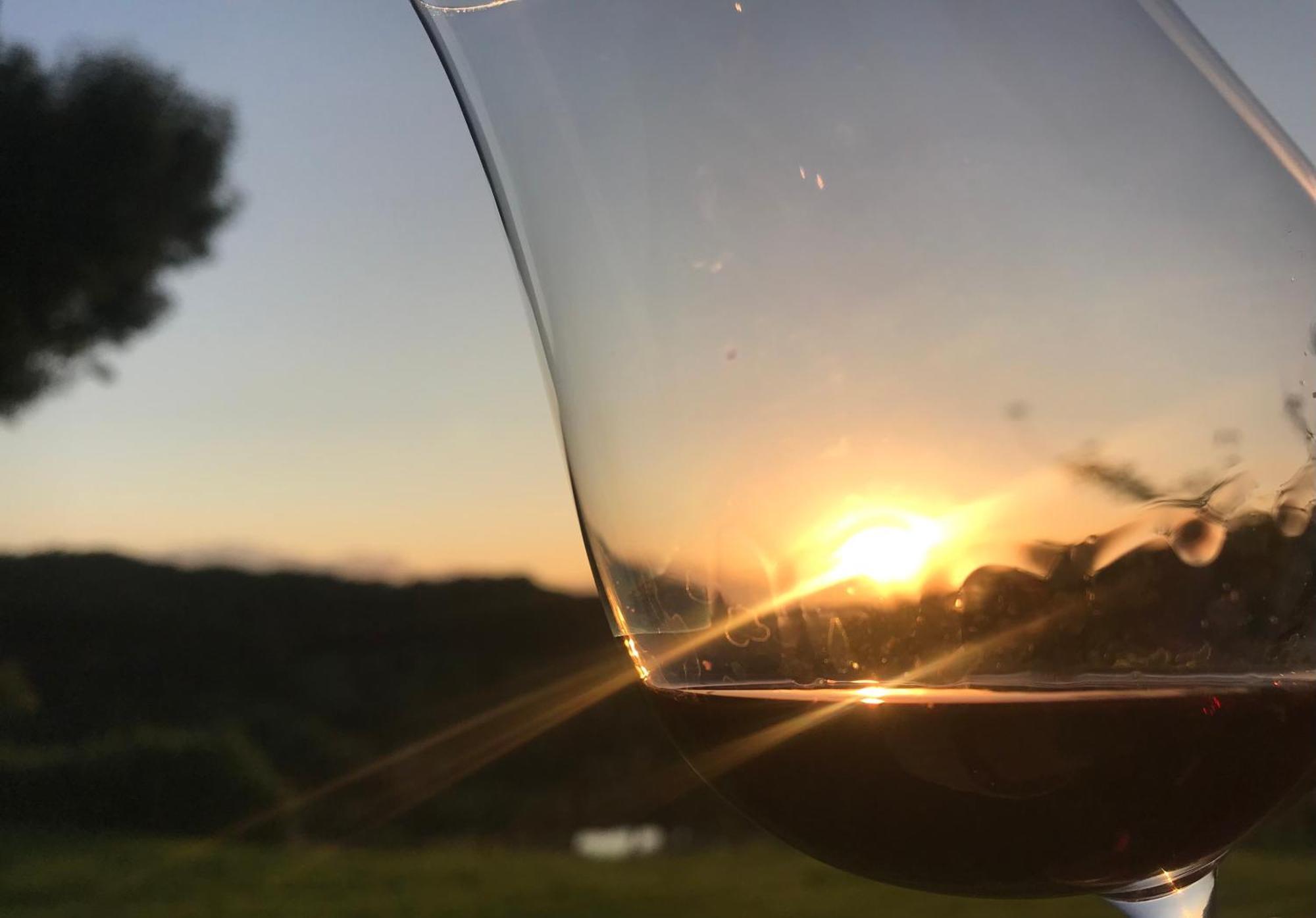 Domaine Labouroume Hotel Salies-de-Béarn Kültér fotó