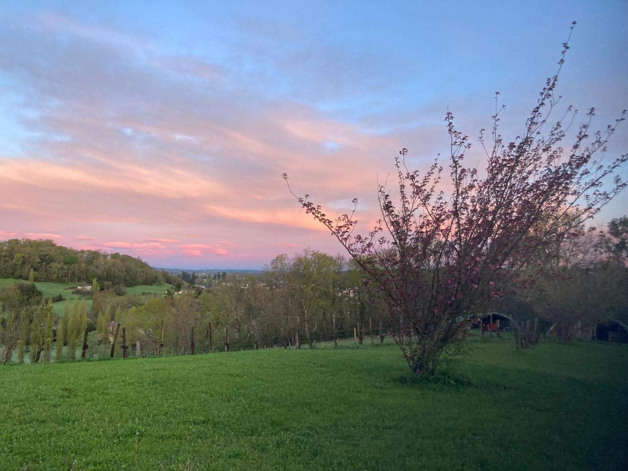 Domaine Labouroume Hotel Salies-de-Béarn Kültér fotó