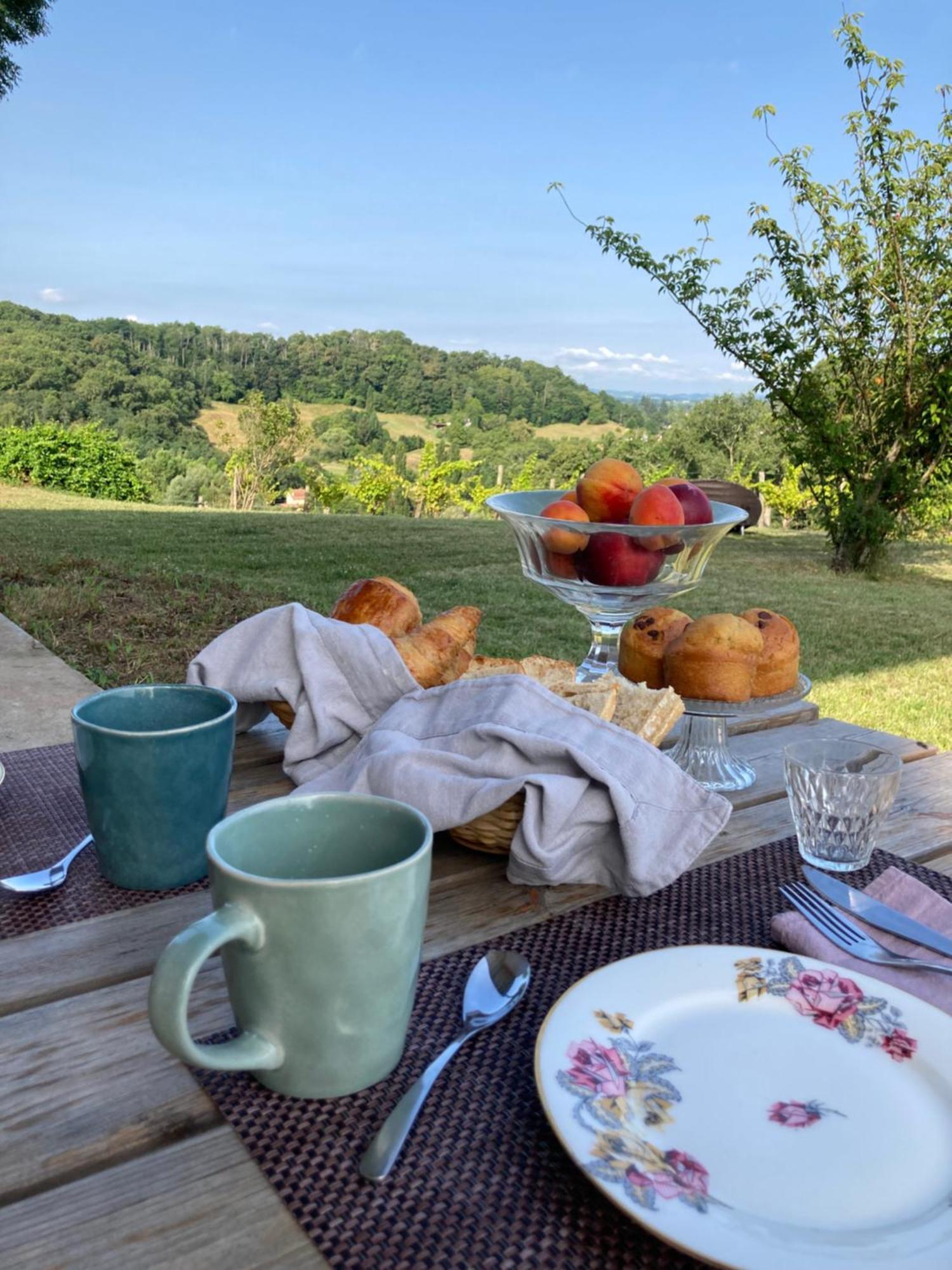 Domaine Labouroume Hotel Salies-de-Béarn Kültér fotó